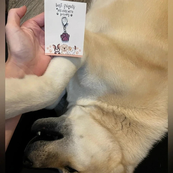 💥 5 for $25 Sale 💥 Cute Pink Dog or Cat Paw Charm - Picture 2 of 5